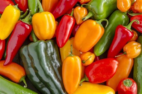 Types of Peppers: Pepper Varieties You Should Try | Mranimal Farm