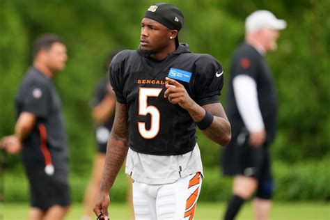 Cincinnati Bengals WR Tee Higgins Downplays Missing Team Reps During ...