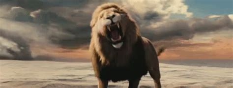 Narnia Aslan GIF - Narnia Aslan Lion King - Ανακαλύψτε και κοινοποιήστε GIF