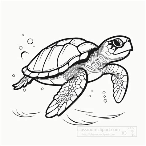 Animal Outline Clipart-loggerhead turtle black outline clip art