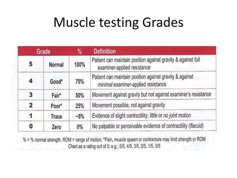 PPT - Muscle Testing PowerPoint Presentation, free download - ID:3184664