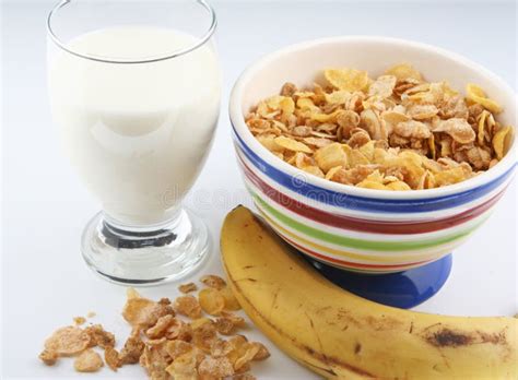 Cereal and milk stock image. Image of porcelain, meal - 4140035