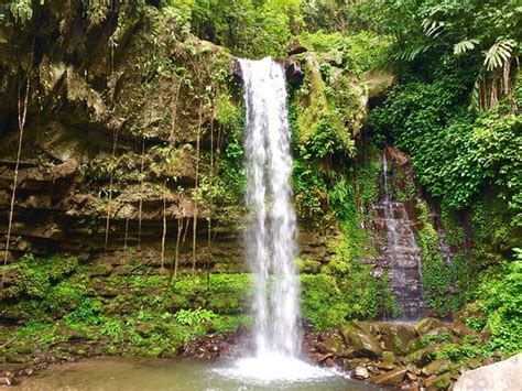 THE 5 BEST Things to Do in Tambunan - 2022 (with Photos) - Tripadvisor