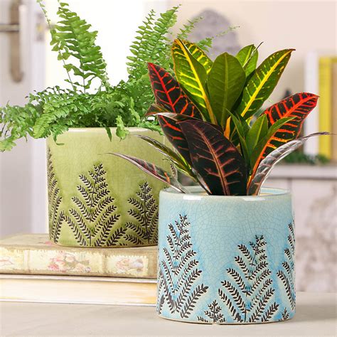 Set Of Two Ceramic Fern Plant Pots By Dibor | notonthehighstreet.com