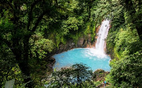 Strong Sense of Place: SSoP Podcast Episode 26 — Costa Rica: Cloud Forests, Coffee, and Capuchin ...