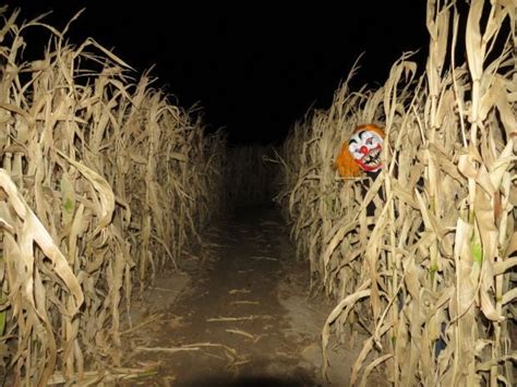 Field of Dreams now Field of Screams | Weekender | trib.com