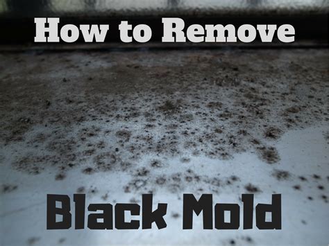 The Basics of Black Mold Removal - Dengarden