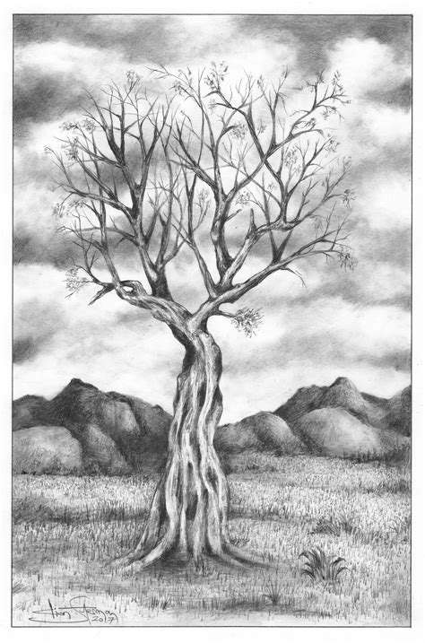 How To Sketch Trees With Pencil at Drawing Tutorials