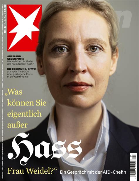 Alice Weidel: Was ich aus dem Interview mit der AfD-Chefin lernte | STERN.de