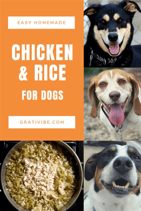 Chicken & Rice for Dogs - grativibe