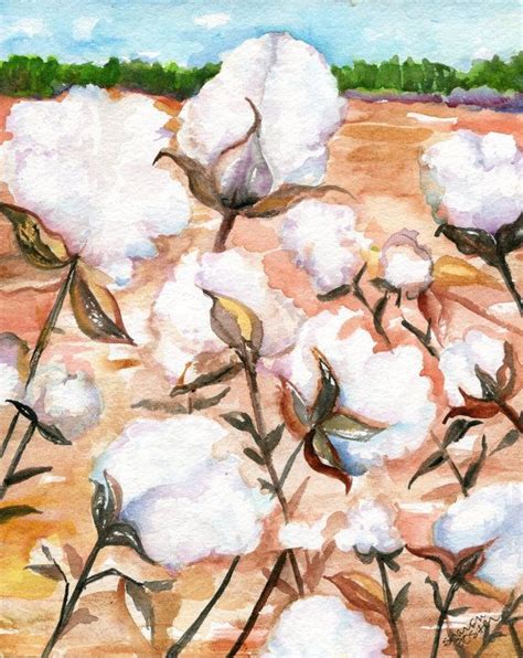 Cotton painting,watercolor of cotton bolls 8 x 10 Botanical Art, watercolors paintings original ...