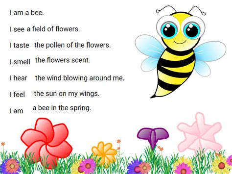 Five Senses Poetry Lesson | Creative Educator