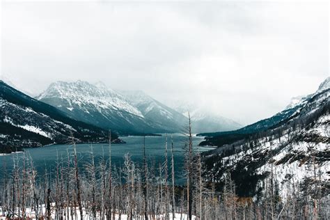 Snowy Hikes in Waterton Lakes National Park · Free Stock Photo