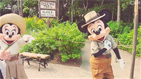 Walt Disney World GIF - Find & Share on GIPHY