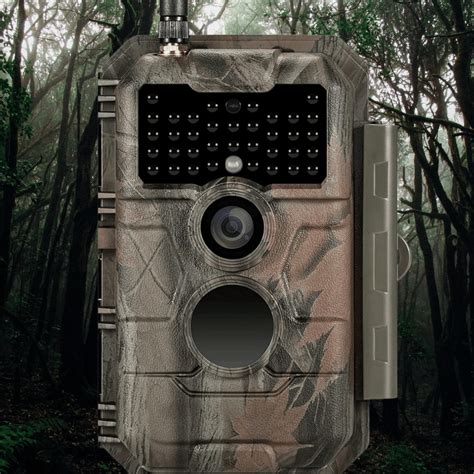 Best Trail Cameras for Every Type of Hunter And Outdoorsman!