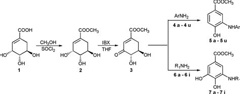 Scheme 1 Aromatization of (-)-shikimic acid promoted by primary amines.... | Download Scientific ...