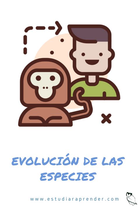 Evolución de las especies | Estudia y aprende | Evolución de las ...