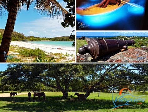 Sights, Attractions, & Points of Interest in Vieques, Puerto Rico | Vieques