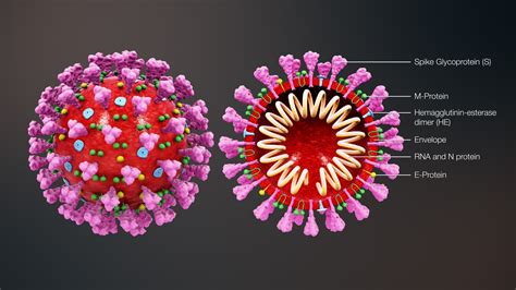 COVID-19 analysis performed with galaxy bioinformatics platform- All ...