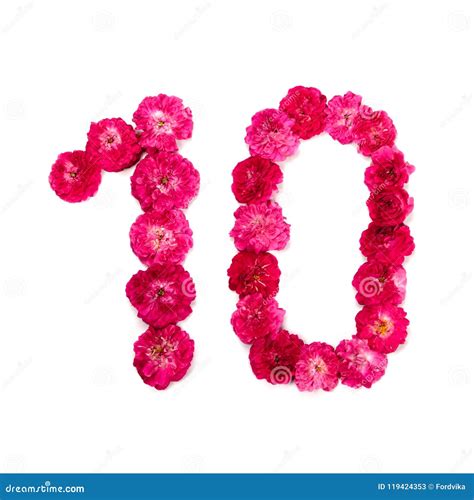 Number 10 from Flowers of a Red and Pink Rose on a White Background Stock Image - Image of ...