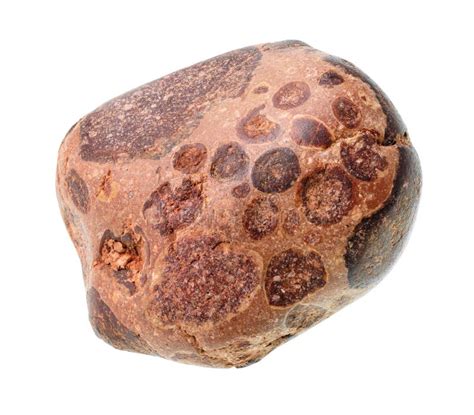 Raw Bauxite (aluminium Ore) Stone on White Stock Photo - Image of rough, geological: 134144346