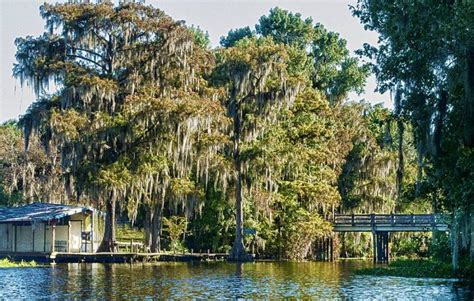 The Bridge at Cross Creek Florida | Florida Paddle Notes