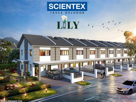 scientex-tasek-gelugor-lily-2-storey | Penang Property Talk