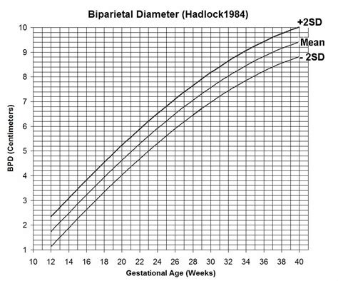 Bpd, Hc, Ac Fl Chart - Captions Lovely