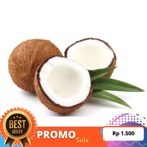 Jual PROMO KELAPA MURAH | SABUT KELAPA | BATOK KELAPA | ARANG KELAPA | Shopee Indonesia