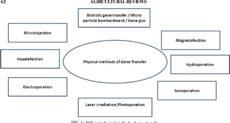 Physical methods of gene transfer: Kinetics of gene delivery into cells ...