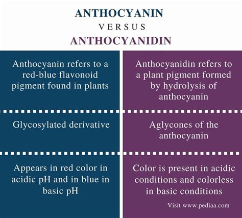 Difference Between Anthocyanin and Anthocyanidin | Definition, Fact, Benefits, Similarities and ...