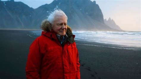 Life In Colour: David Attenborough to present BBC and Netflix documentary | Where to watch ...