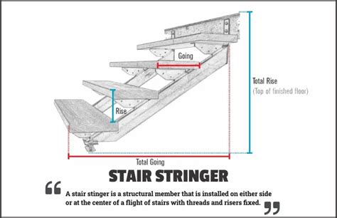 Stair Stringer: Components & types of stair stringers