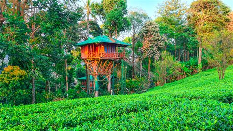 Dream Catcher Resort Munnar Honest Review | Best Resort In Kerala