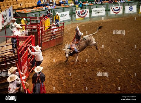 Texas Fort Worth Stockyards Rodeo High Resolution Stock Photography and Images - Alamy