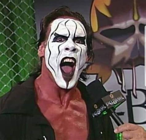 Pin by MELISSA A. KLEIN on STING! | Sting wwe, Character, Fictional ...