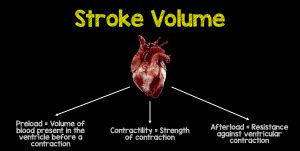 The Approach To The Most Common Cardiac Dysrhythmia: 8 Causes of Sinus Tachycardia - REBEL EM ...