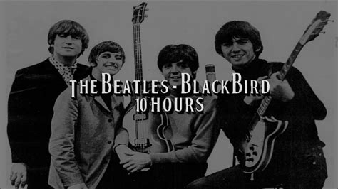 Blackbird by The Beatles for 10 Hours - YouTube