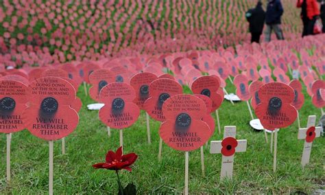 Poppy appeal: A tour of the factory where remembrance is the main ...