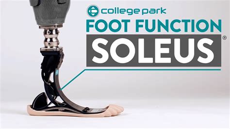 Soleus - Foot Function - YouTube