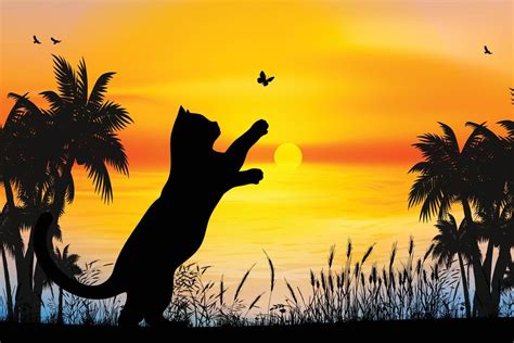 cute cat and butterfly silhouette 10509764 Vector Art at Vecteezy