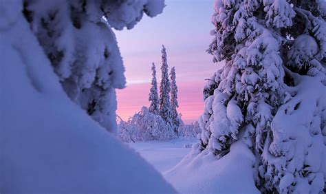 The Magical Colors of Polar Night | Visit Finnish Lapland