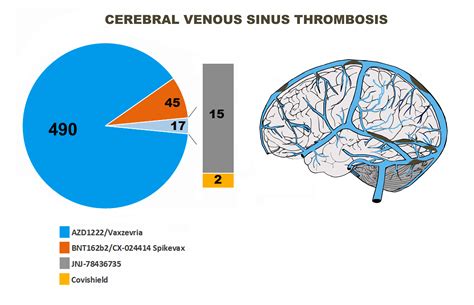 Cerebral Venous Sinus Thrombosis following COVID-19 Vaccination: Analysis of 552 Worldwide Cases