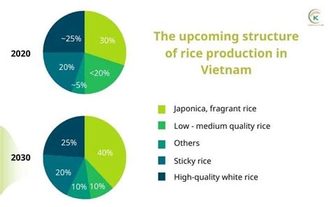 Rice Production In Vietnam Has Continuously Increased Over Years | K ...