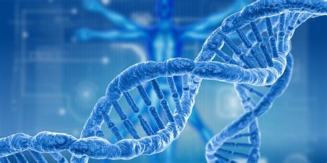 Genetics (BSc) - Undergraduate, University of York