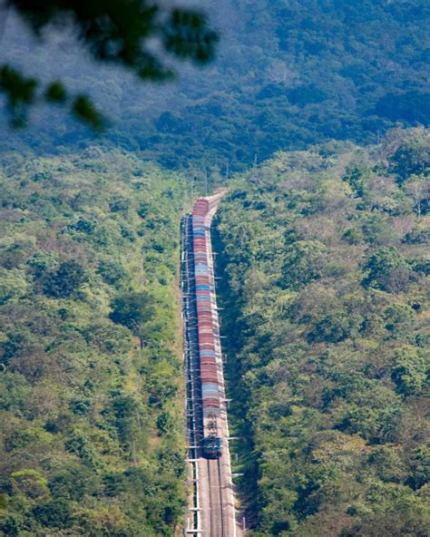 Nallamala Forest And Hills | Srisailam | Nandyal Distric