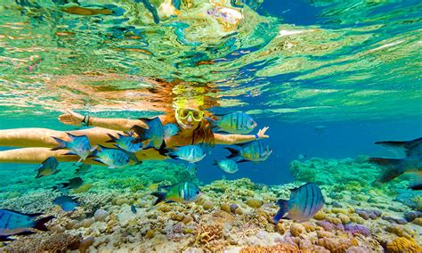 6 Day Whitsundays Reefsleep & Stay | TripADeal