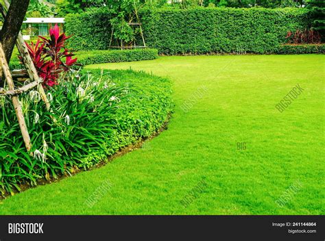 734 Background Design Garden free Download - MyWeb