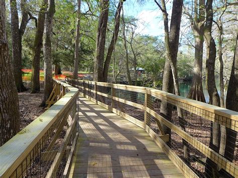 Campground Review: Manatee Springs State Park | Scenic Pathways