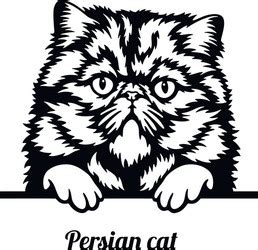 Persian Cat Silhouette Vector Images (over 140)